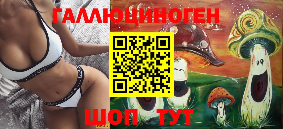 Новоалександровск  Галлюциногенные грибы прущие грибы  Вход с VPN 