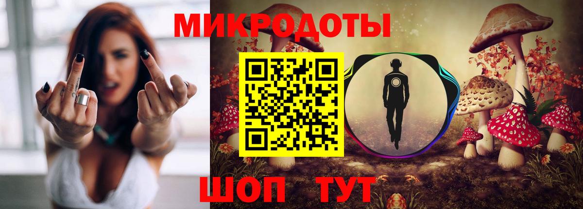 Псилоцибиновые грибы ЛСД Новоалександровск