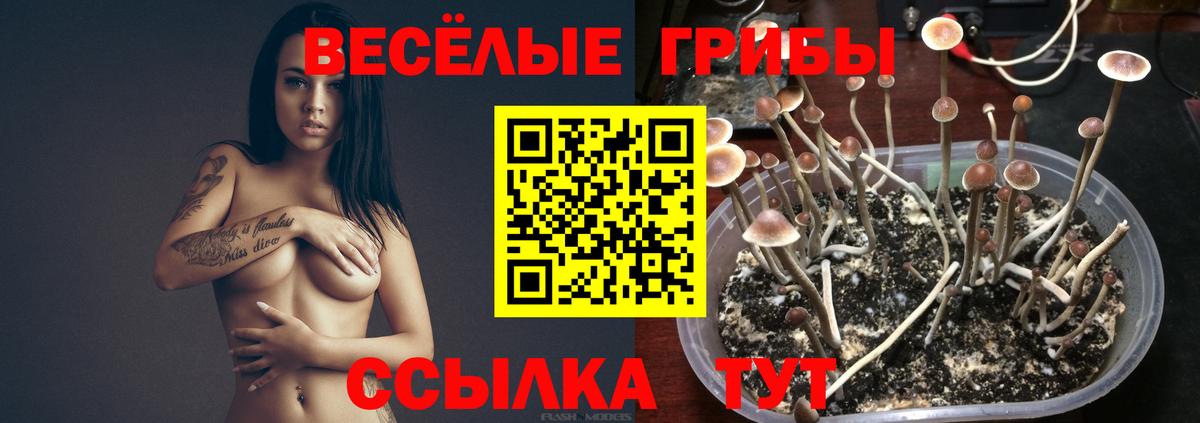 Новоалександровск  Вход с VPN  Кетамин  МЕФ   Лсд 25  КОКАИН  ЭКСТАЗИ  МАРИХУАНА  Гашиш 